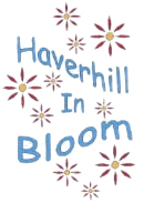 Haverhill  In Bloom Logo