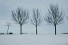 Haverhill in the Snow