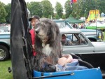 Haverhill Show 2005