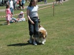 The Haverhill Show 2006